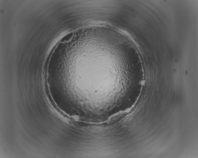 X0000070201235200605301329