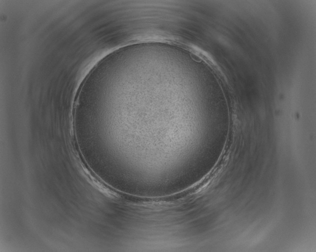 X0000070201236200605301329