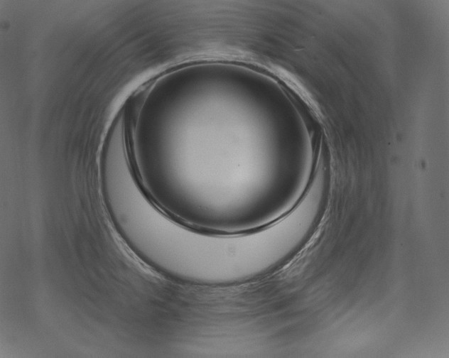 X0000070201238200605301329