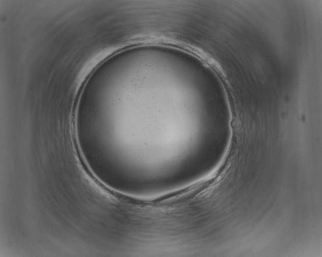 X0000070201239200605301329