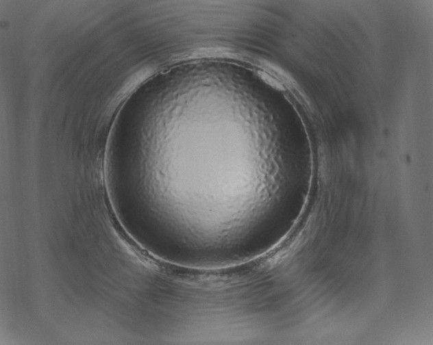 X0000070201241200605301329