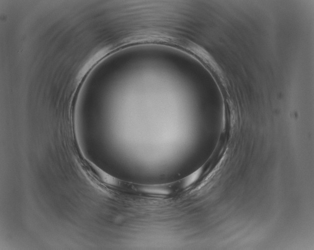 X0000070201242200605301329