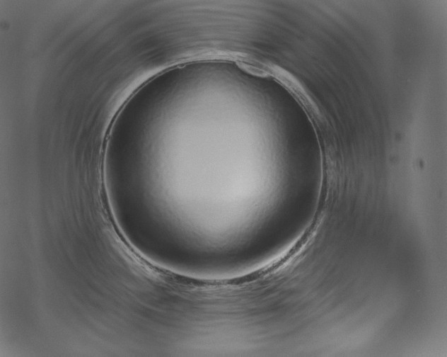 X0000070201244200605301329