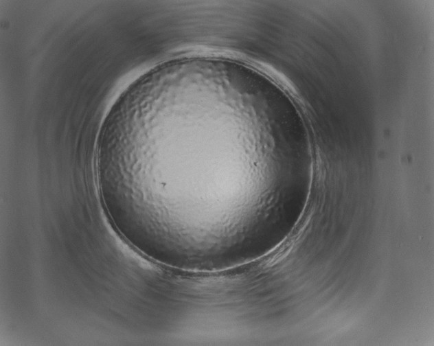 X0000070201247200605301329