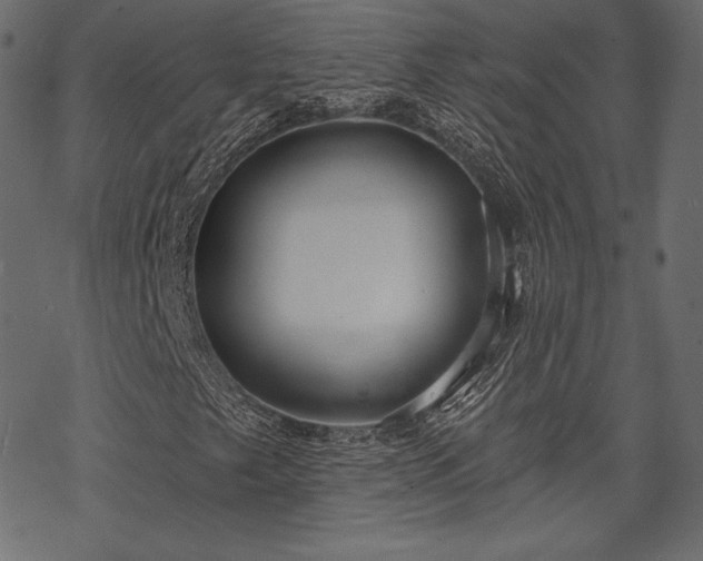 X0000070201249200605301329