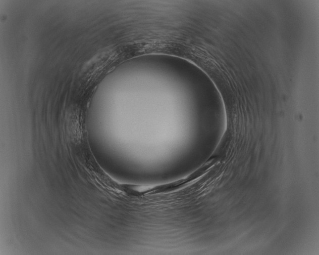 X0000070201250200605301329