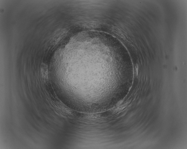 X0000070201251200605301329