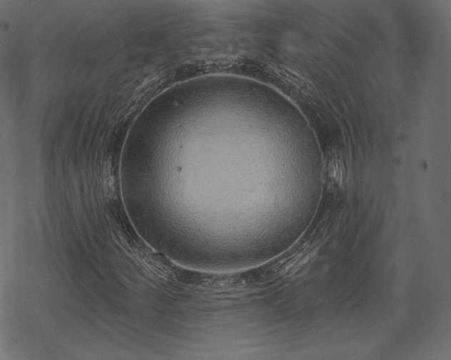 X0000070201252200605301329