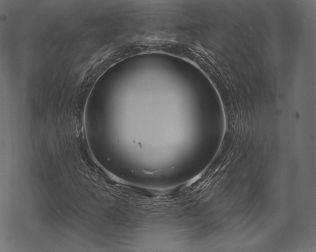 X0000070201253200605301329