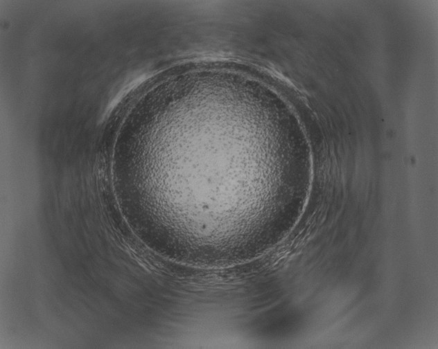 X0000070201255200605301329