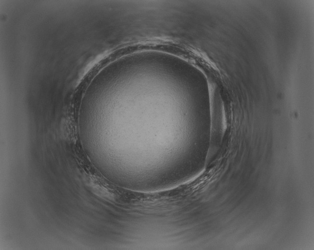 X0000070201256200605301329