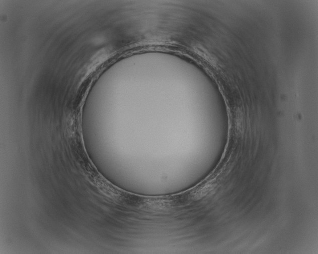 X0000070201258200605301329
