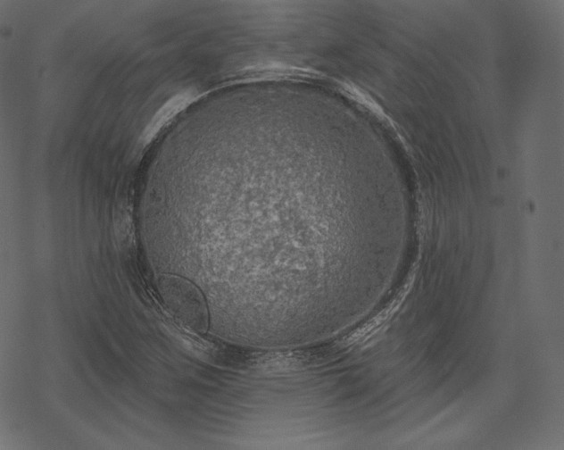 X0000070201259200605301329