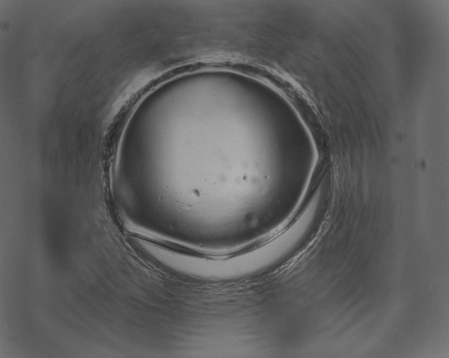 X0000070201263200605301328