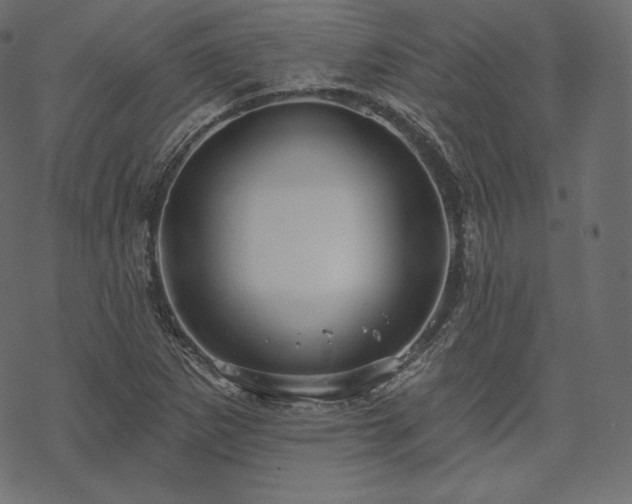 X0000070201265200605301328