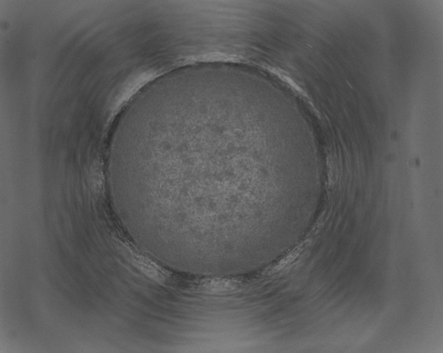 X0000070201266200605301328