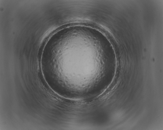 X0000070201267200605301328