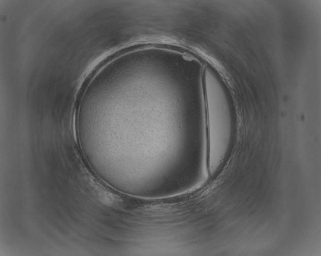 X0000070201272200605301328