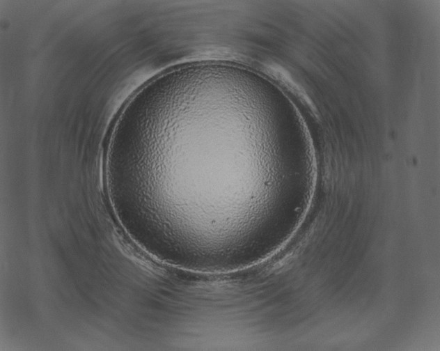 X0000070201276200605301328