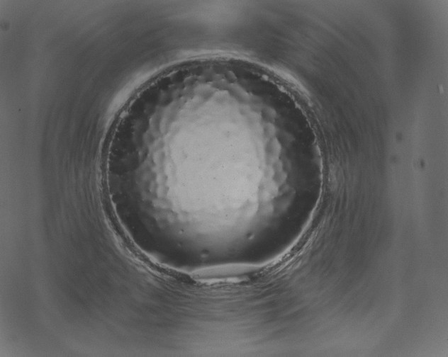 X0000070201279200605301328