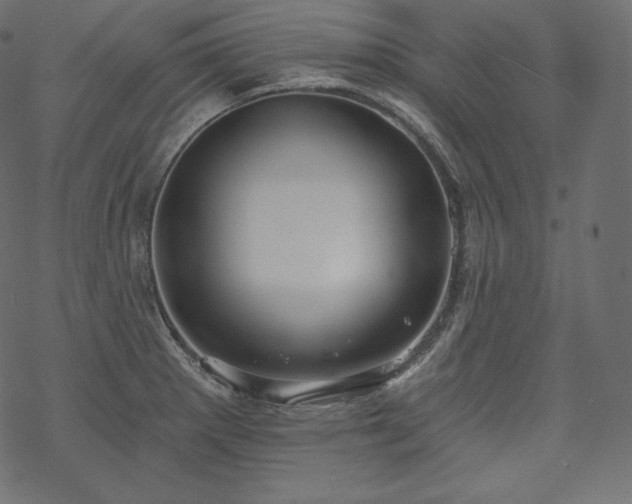 X0000070201281200605301328