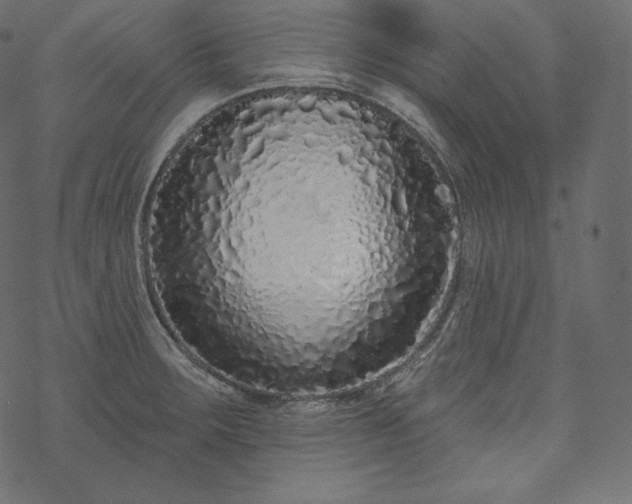 X0000070201283200605301328