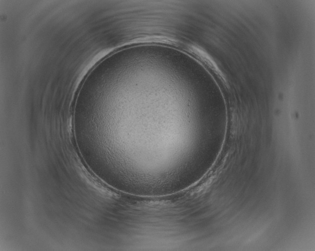 X0000070201284200605301328