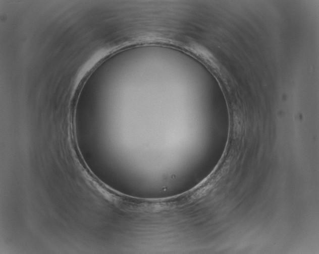 X0000070201286200605301328