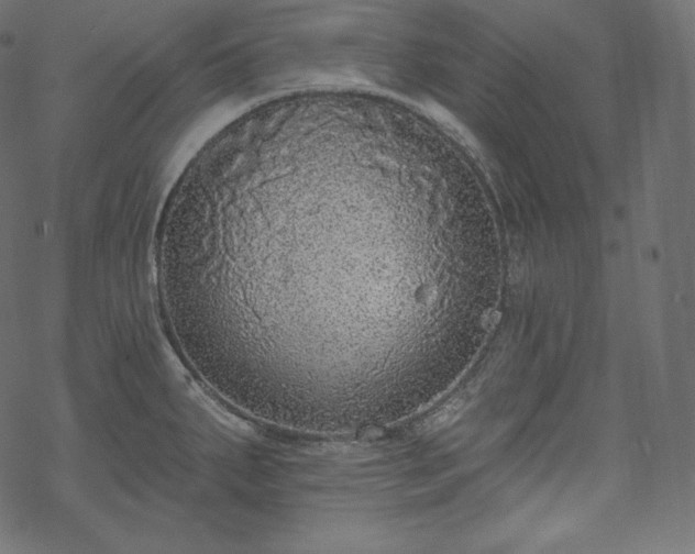 X0000070201287200605301328