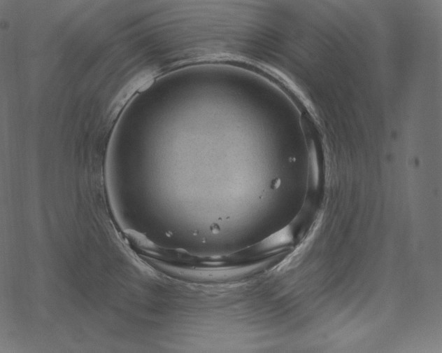 X0000070201289200605301328