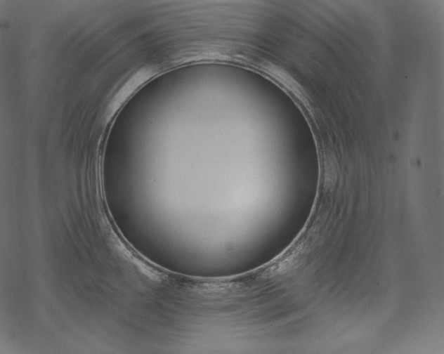X0000070201290200605301328
