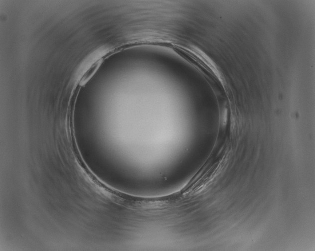 X0000070201293200605301328