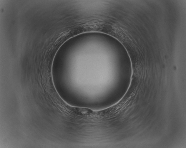 X0000070201297200605301327