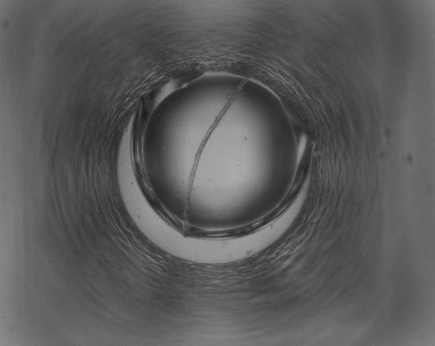 X0000070201298200605301327