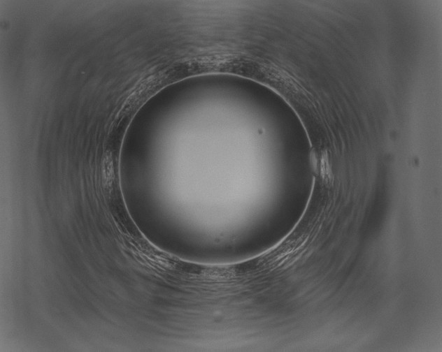 X0000070201299200605301327