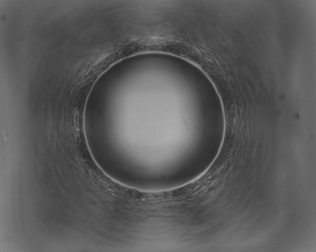 X0000070201301200605301327