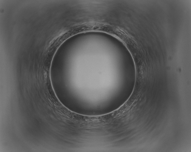 X0000070201302200605301327