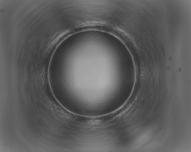 X0000070201313200605301327