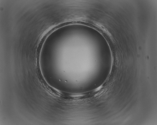 X0000070201316200605301328