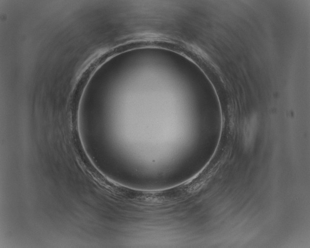 X0000070201318200605301328
