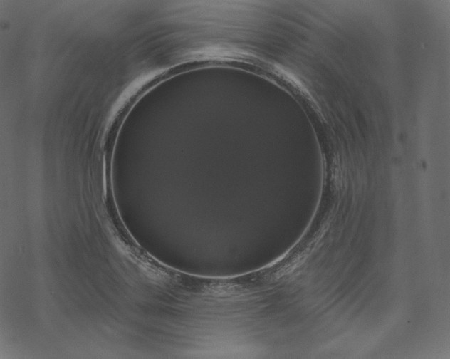 X0000070201323200605301328