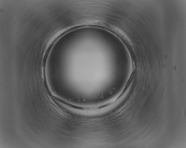 X0000070201324200605301328