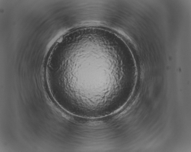 X0000070201325200605301328