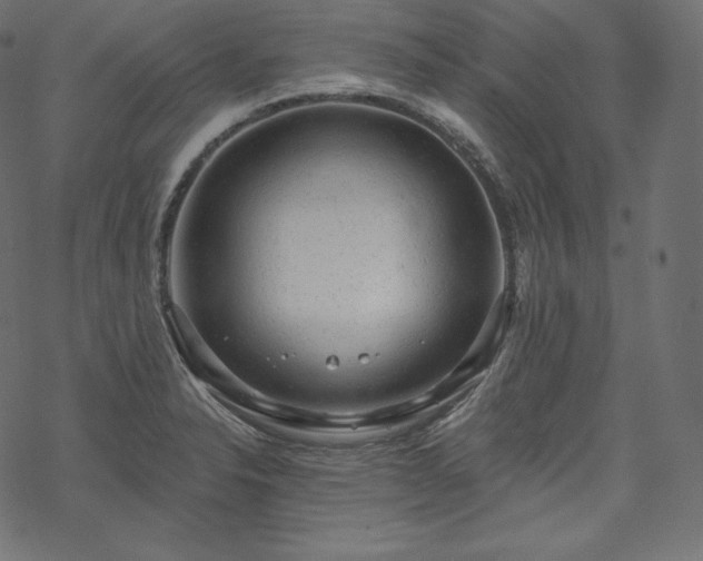 X0000070201326200605301328