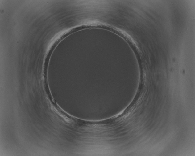 X0000070201327200605301328