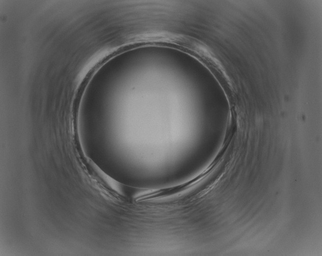 X0000070201328200605301328