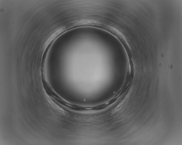 X0000070201330200605301328
