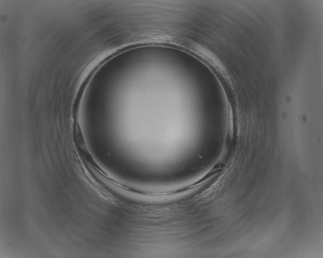 X0000070201332200605301328