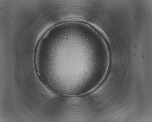 X0000070201333200605301328