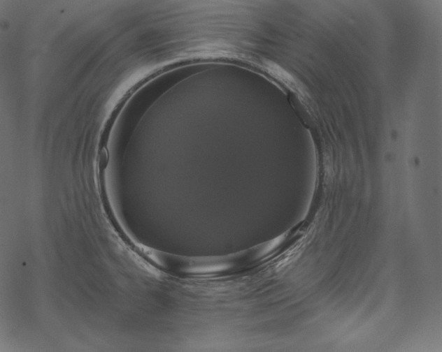 X0000070201334200605301328